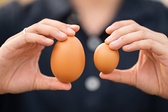 Outsourced bookkeeper vs employee – compare the costs Beancounters from Beyond Accounting